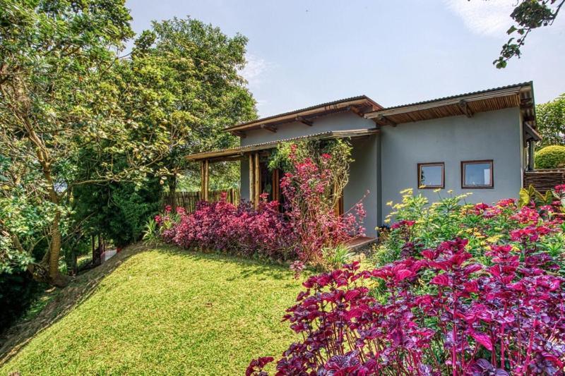 Chameleon Hill Forest Lodge Bwindi Exterior photo