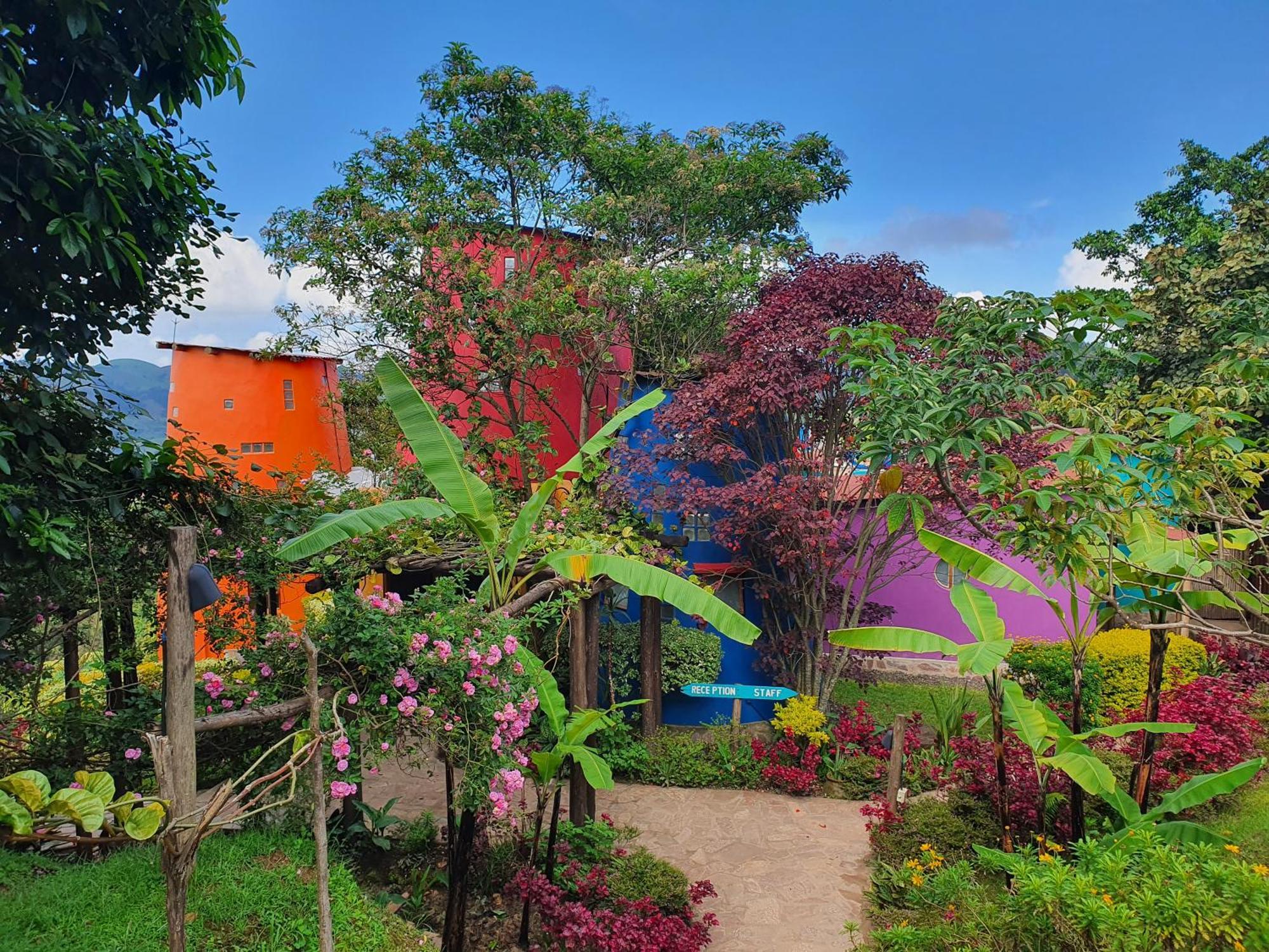 Chameleon Hill Forest Lodge Bwindi Exterior photo